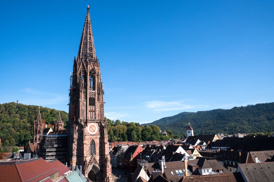 Blick auf Stadt Freiburg